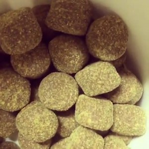 13 reactions | Our Hip & Joint Supplement are ideal for dogs of all...