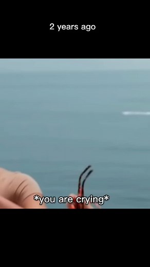 pov: you are going to move in with kendall #thekardashians #ynstories #ynjenner #viral #pov