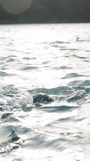 Swimmers experience total freedom of movement in the shoulder and arm area thanks to the sleeveless construction of the Vitalis Light. Unrestricted swimming, buoyancy in the lower body, and thermal comfort in the torso allow swimmers to enjoy their swim thoroughly. #ChasingEpic #RaisedInTheWater #OpenWater | Orca