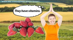 Strawberry Facts: Lesson for Kids