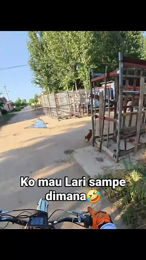 100K views · 1.3K reactions | Belum Troma si Anying"ini藍 #reelsfyp #lucu #fbpro #sorotansemuaorang #facebookcomunity | Kenzo M | Facebook