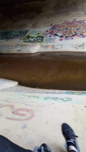 chilled vibe #explore #adventure #adventureisland #graffiti #art #nature