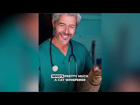 Revolutionary Flea Collar for Cats - Breeze PureShield