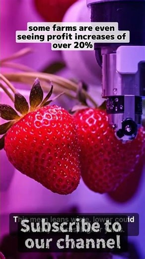 The Smart Farming Trick Making Farmers Richer