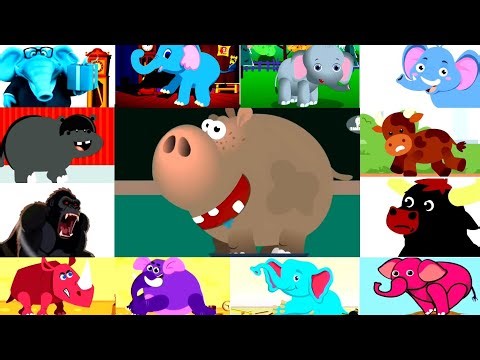 Hickory Dickory Dock ⏰ Hippo + More Animals Clock Dancers Sponsored by Preview 2 Effects