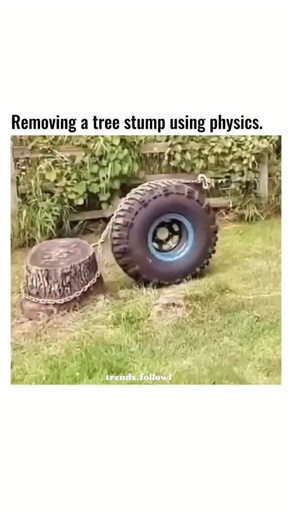 Films | Movies | Tv series on Instagram: "The post showcases a DIY technique for extracting a tree stump by chaining it to a heavy vehicle tyre, then spinning the tyre to generate rotational momentum that yanks the stump free, amassing over 1.6 million views in under 24 hours. This method exploits basic physics principles like conservation of angular momentum and leverage, turning the tyre into a makeshift pulley system that amplifies pulling force without machinery, a hack popular among gardene