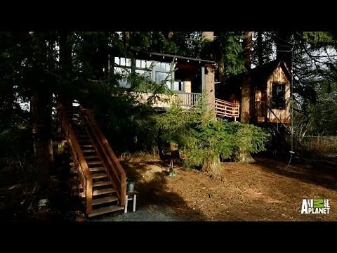Behind The Build: Bionic Treehouse | Treehouse Masters