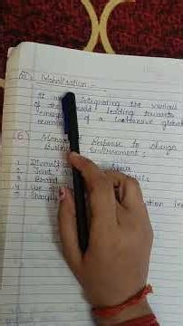 New Economic Policy 1991 liberalisation privatisation globalisation class 12 business studies notes