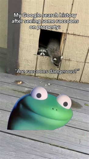 Stop chasing raccoon facts online and start solving the problem. 🔎🦝 Our expert Terminix technicians are ready to provide effective wildlife control services to help ensure these pests' safe and efficient removal from your property. Protect your space and schedule a wildlife inspection today at the link in our bio. | Terminix