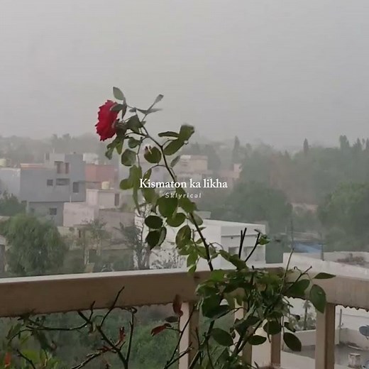 Vaaste jaan bhi doon #vaaste_song_status #lyricalzone #lyricsvideo #music #songedit #love