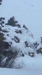When it’s deep, rules go out the window 🤘 @cooperwatsonnnn puts that theory to the test with a heater of a stomp during a mega storm at @jacksonhole 💥 #tgrlivethedream | Teton Gravity Research
