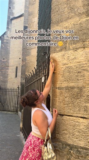 Faites vivre notre ville en commentaire🦉🍷🍇 #dijon #dijonnaise #nanaadijon #dijonmustard #dijonmaville