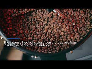 Coffee Roasts Explained: The Caffeine & Flavor Truth
