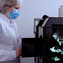 Video: In Vivo Two-photon Imaging of Megakaryocytes and Proplatelets in the Mouse Skull Bone Marrow
