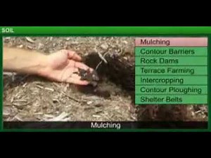 Talking about earth surface mulching, contour barriers, rock dates and etc
