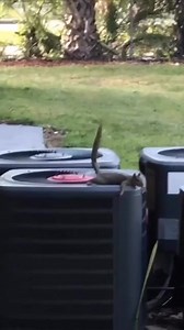 Deleted Meme on Reels