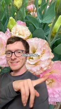 My favorite whimsical pink flowers