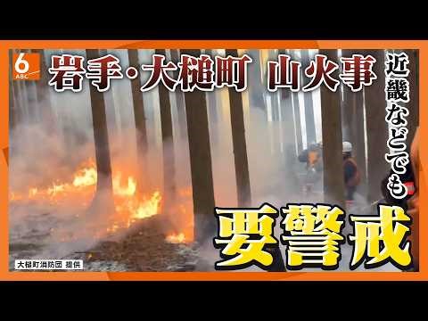 「“燃える力”が“消す力”を上回ってしまっている」岩手・大槌町の山林火災 発生７日目も消火活動続く 林業の衰退や地球温暖化で燃えやすく…識者「見合った消火技術を持たないといけない」
