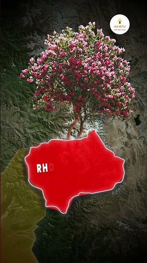 Everything You Need to Know About Sikkim | Geography, Rivers, Wildlife & More