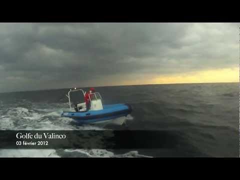 Semi-rigide Zeppelin Vpro16 Golfe du Valinco Corse