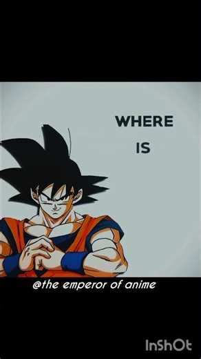 vegeta is very responsible