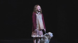 15K views · 93 reactions | ANNIE at Paper Mill Playhouse now through December 31. The perfect holiday treat for the entire family. For tickets visit: https://papermill.org/annie | Paper Mill Playhouse | Facebook