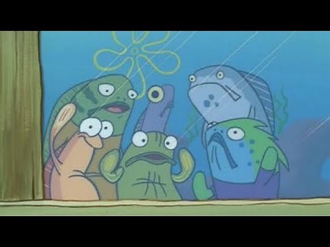 Hey Spongebob’s Back! | Spongebob clip