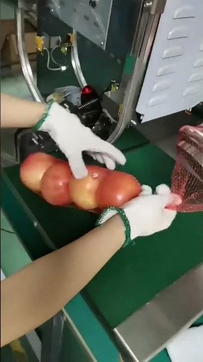 Clipped Net Fruits in Line