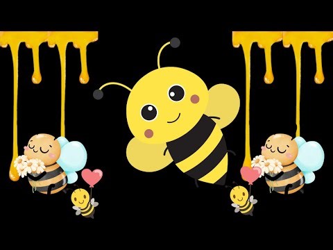 Magic Baby Sensory | Buzzy Bumble Bee! High Contrast Sensory Video for Baby Eyes & Brain Development