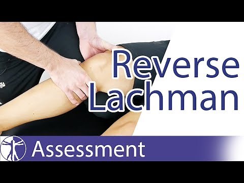 Reverse Lachman Test | Posterior Cruciate Ligament Tear