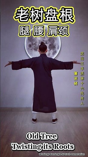 武当太极功法：老树盘根 Old Tree Twisting its Roots, Wudang Taiji exercise