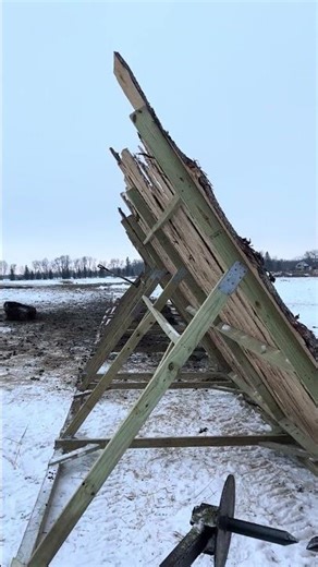 Moving Windbreaks 💨 #sheep #winter #regenerativeagriculture