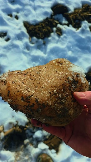 Discovering Quartz: A Rockhound's Guide to Geology