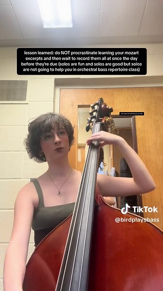 here are some excerpts from mozart’s symphony no. 40! they’re super fun but also very hard (do not procrastinate learning them if you are assigned them to play) (…guess how i know that) (never again) #bassist #bass #classicalmusic #mozart #femalebassist #bassistsoftiktok #womeninmusic #symphony