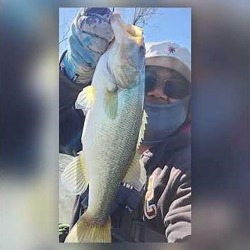 December Fishing Vibes on the Gila River AZ 🎣