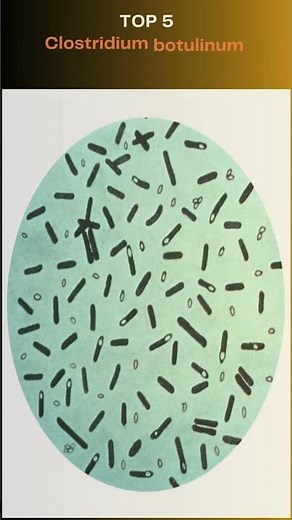 Top 10 Most Dangerous Biological Weapons Ever Researched