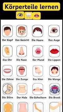 #Deutschlernen#Körperteile#GermanVocabulary#LearnGerman#German For Beginners #DeutschFür Anfänger