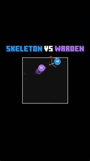 Skeleton VS Warden