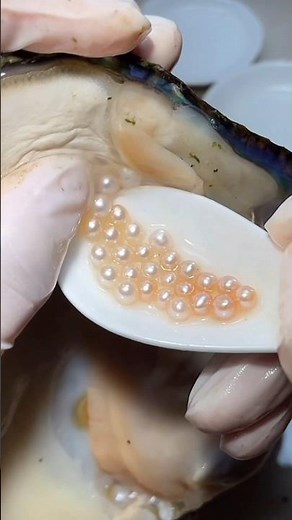 Discover the Elegance of Akoya Pearls: A Guide to These Classic Gems