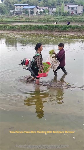 Backpack Gasoline Rice Seedling Thrower | Two-Person Efficient Paddy Planting
