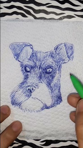 Dibujando Schnauzer en una servilleta con un bolígrafo |Drawing DOG on a napkin with a pen | #Shorts
