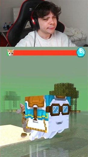 Sad Cat vs Crocodile 🥺