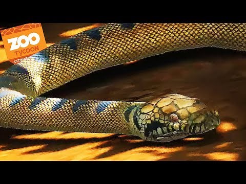 SNAKES & LIZARDS | Zoo Tycoon : Ultimate Animal Collection #2