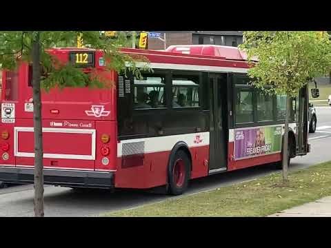 TTC Buses in Action – Bus 1109 and More | Toronto Transit Highlights (Aug 15–17, 2025)