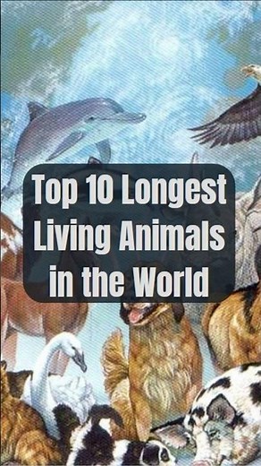 Top 10 Longest Living Animals in the World