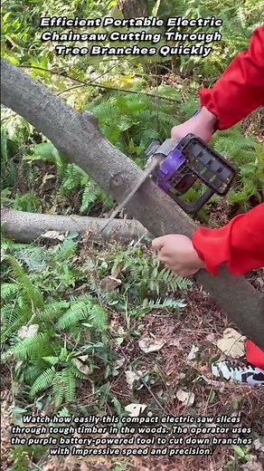 Efficient Portable Electric Chainsaw Cutting Through Tree Branches Quickly