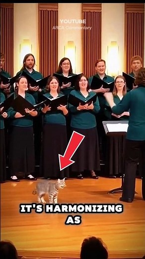 Cat Sings in Choir Caught on Camera 🎶 Adorable Feline with Perfect Harmony #SingingCat #aianimals