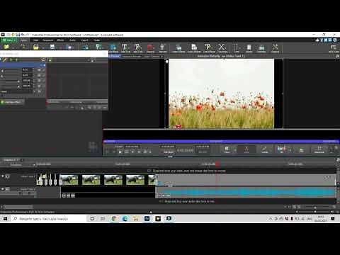 How To Remove The Black Borders In Video | VideoPad Tutorials | Vedeo Effects