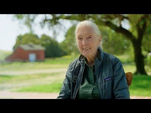 Jane Goodall: GIS For Science, Education and Action