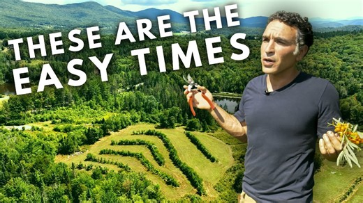 I visited a permaculture farm in Vermont 🌱